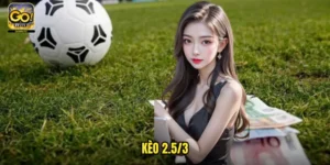 Kèo 2.5/3