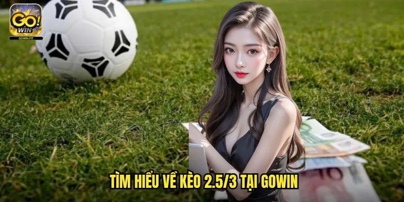 Kèo 2.5/3 Gowin - Cá Cược Chấp Cực Cao Cho Những Trận Chênh Lệch Vô Cùng 2 Tìm Hiểu Về Kèo 2.5/3 Tại Gowin