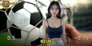 Kèo Live