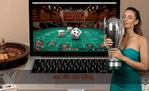 Soi cầu kép bằng